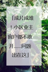 成片成堆！小区业主窗户都不敢开……问题出在这
