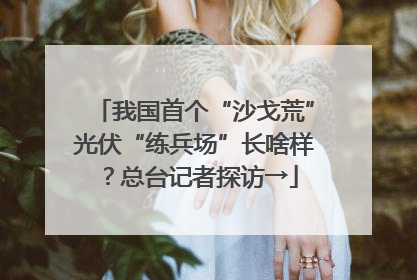 我国首个“沙戈荒”光伏“练兵场”长啥样？总台记者探访→