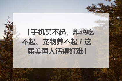 手机买不起、炸鸡吃不起、宠物养不起？这届美国人活得好难