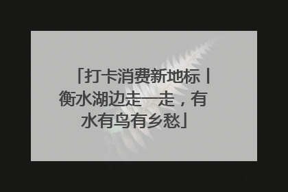 打卡消费新地标丨衡水湖边走一走，有水有鸟有乡愁
