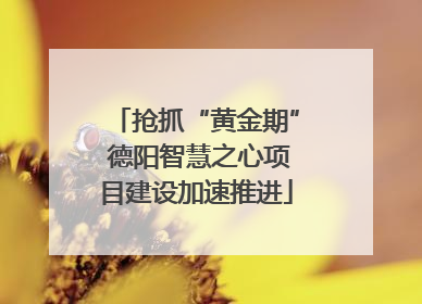 抢抓“黄金期” 德阳智慧之心项目建设加速推进