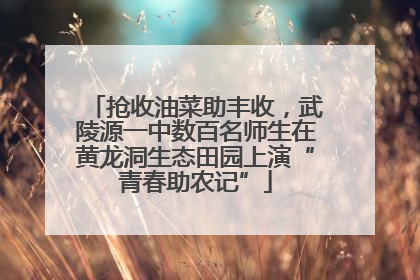 抢收油菜助丰收，武陵源一中数百名师生在黄龙洞生态田园上演“青春助农记”