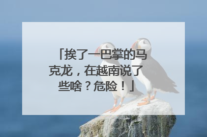 挨了一巴掌的马克龙，在越南说了些啥？危险！