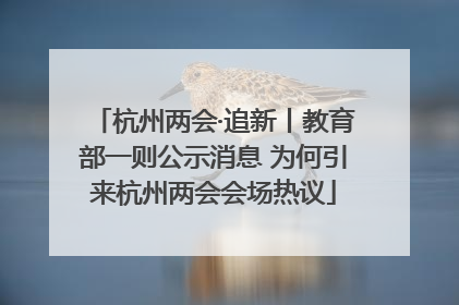 杭州两会·追新丨教育部一则公示消息 为何引来杭州两会会场热议