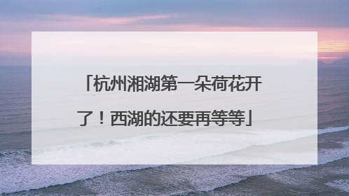 杭州湘湖第一朵荷花开了！西湖的还要再等等