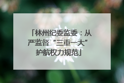 林州纪委监委：从严监督“三重一大” 护航权力规范