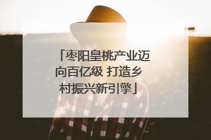 枣阳皇桃产业迈向百亿级 打造乡村振兴新引擎