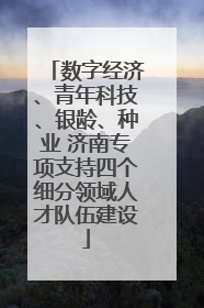 数字经济、青年科技、银龄、种业 济南专项支持四个细分领域人才队伍建设