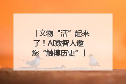 文物“活”起来了！AI数智人邀您“触摸历史”