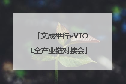 文成举行eVTOL全产业链对接会
