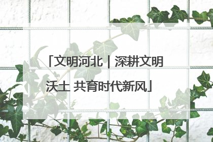 文明河北｜深耕文明沃土 共育时代新风