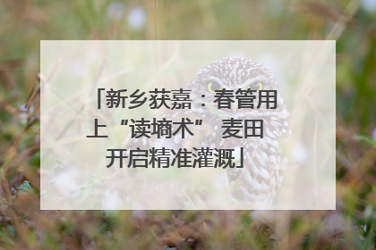 新乡获嘉：春管用上“读墒术” 麦田开启精准灌溉