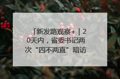 新发路观察+｜20天内，省委书记两次“四不两直”暗访，有何深意？