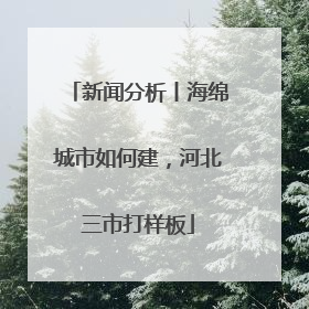 新闻分析丨海绵城市如何建，河北三市打样板