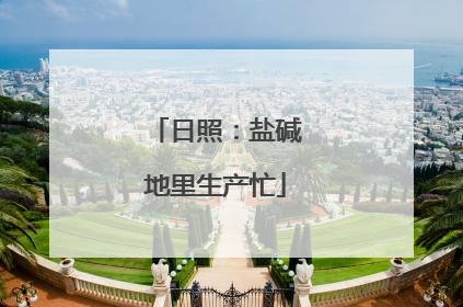 日照：盐碱地里生产忙