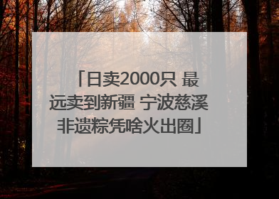 日卖2000只 最远卖到新疆 宁波慈溪非遗粽凭啥火出圈