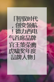 智驭时代，创变领航！德力西电气首席品牌官王策荣膺虎啸奖年度品牌人物