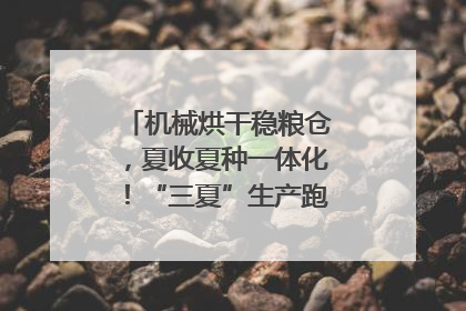 机械烘干稳粮仓，夏收夏种一体化！“三夏”生产跑出加速度｜麦报