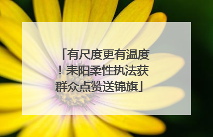 有尺度更有温度！耒阳柔性执法获群众点赞送锦旗