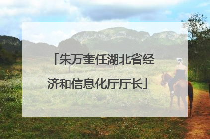 朱万奎任湖北省经济和信息化厅厅长
