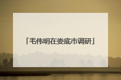 毛伟明在娄底市调研
