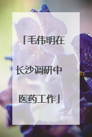 毛伟明在长沙调研中医药工作
