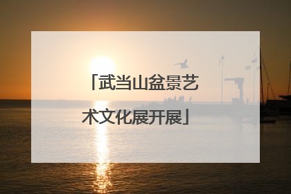 武当山盆景艺术文化展开展