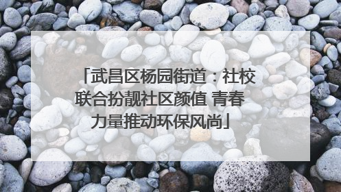 武昌区杨园街道：社校联合扮靓社区颜值 青春力量推动环保风尚