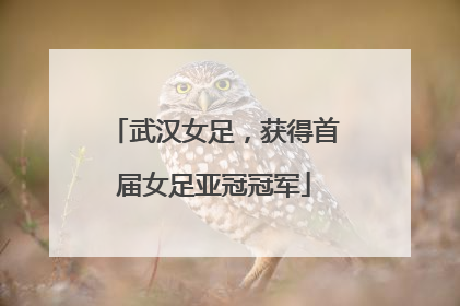 武汉女足，获得首届女足亚冠冠军