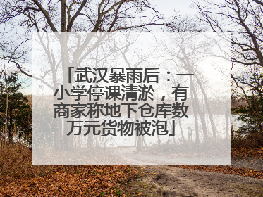 武汉暴雨后：一小学停课清淤，有商家称地下仓库数万元货物被泡