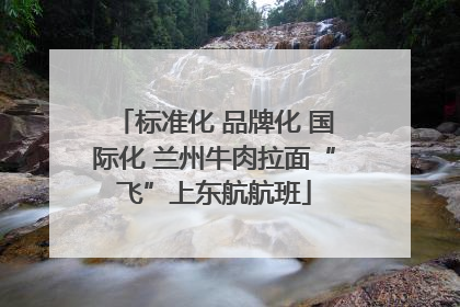 标准化 品牌化 国际化 兰州牛肉拉面“飞”上东航航班