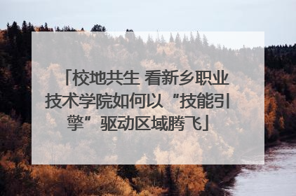 校地共生 看新乡职业技术学院如何以“技能引擎”驱动区域腾飞