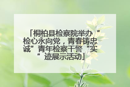 桐柏县检察院举办“检心永向党，青春铸忠诚”青年检察干警“实”迹展示活动