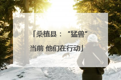 桑植县：“猛兽”当前 他们在行动