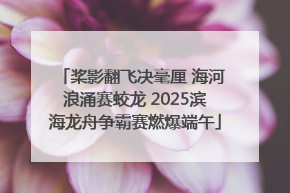 桨影翻飞决毫厘 海河浪涌赛蛟龙 2025滨海龙舟争霸赛燃爆端午