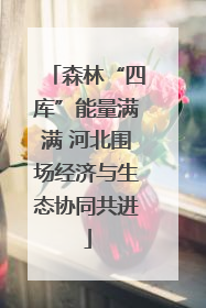 森林“四库”能量满满 河北围场经济与生态协同共进