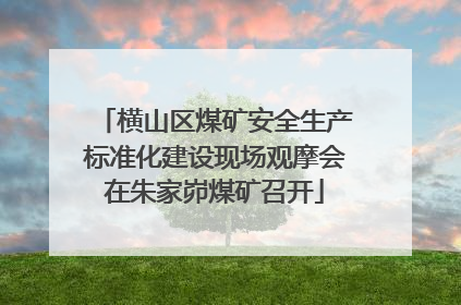 横山区煤矿安全生产标准化建设现场观摩会在朱家峁煤矿召开