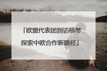 欧盟代表团到访横琴 探索中欧合作新路径