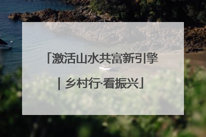 激活山水共富新引擎｜乡村行·看振兴