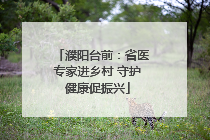 濮阳台前：省医专家进乡村 守护健康促振兴