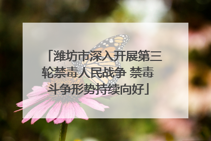潍坊市深入开展第三轮禁毒人民战争 禁毒斗争形势持续向好