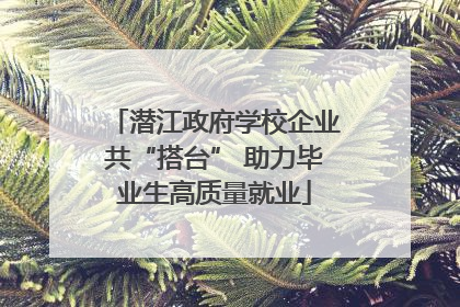 潜江政府学校企业共“搭台” 助力毕业生高质量就业