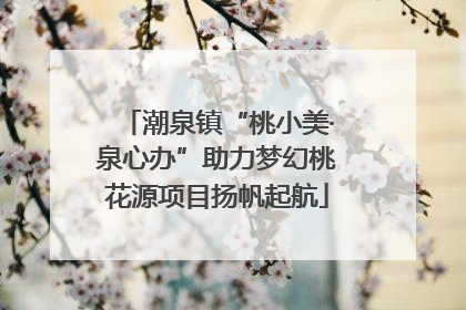 潮泉镇“桃小美·泉心办”助力梦幻桃花源项目扬帆起航