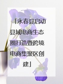 永春县启动县域电商生态圈打造暨跨境电商集聚区创建