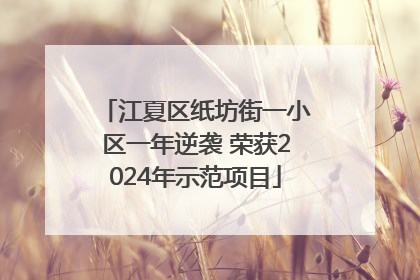 江夏区纸坊街一小区一年逆袭 荣获2024年示范项目