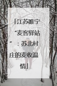 江苏睢宁“麦客驿站”：苏北村庄的麦收温情