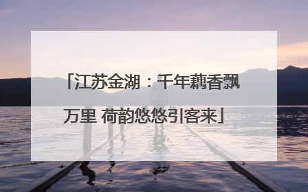 江苏金湖：千年藕香飘万里 荷韵悠悠引客来