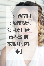 江西南昌：城市湿地公园夏日绿意盎然 荷花渐开引客来