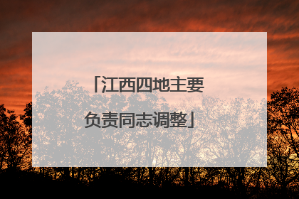 江西四地主要负责同志调整