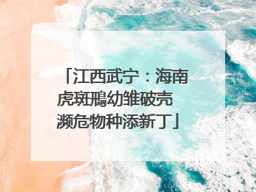 江西武宁：海南虎斑鳽幼雏破壳 濒危物种添新丁